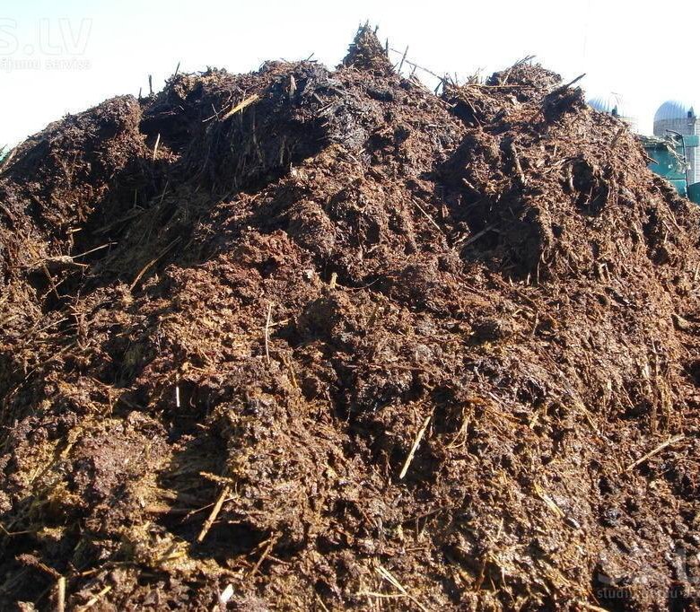 Продам навоз – купить в Томске, цена 1 500 руб., дата размещения: 04.09 ...
