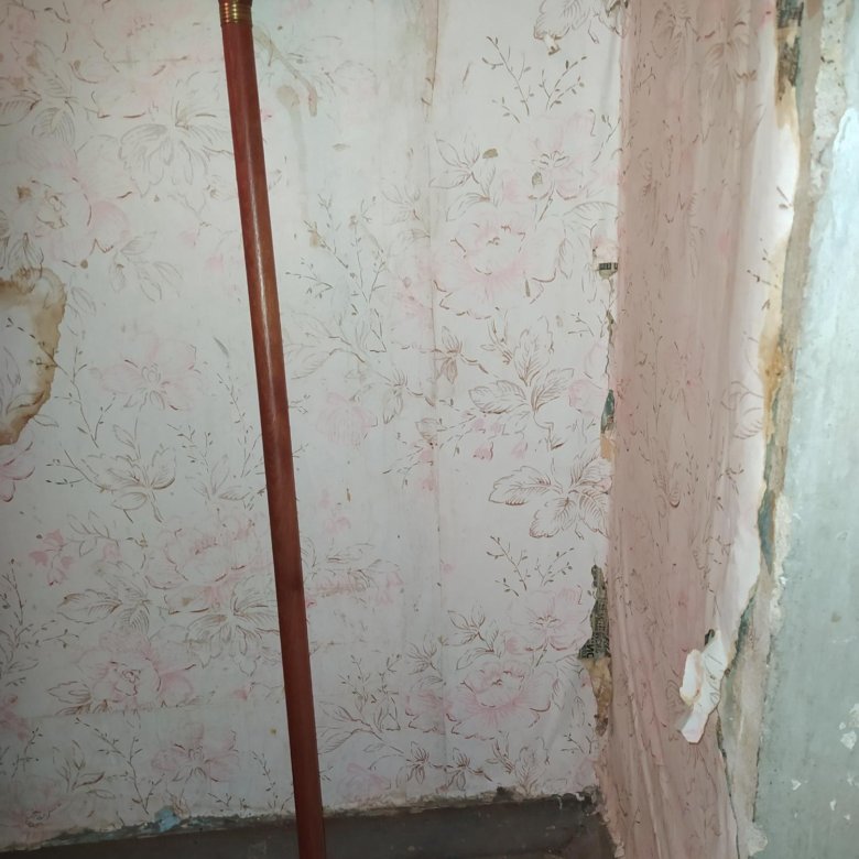 Трость деревянная – купить в Москве, цена 850 руб., дата размещения: 16 ...