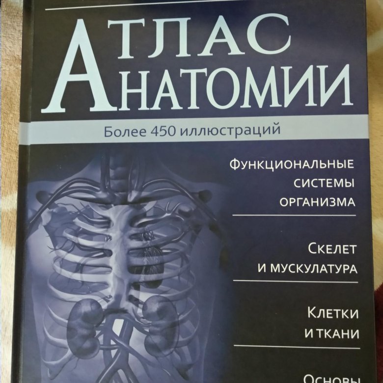 Купить Книгу Лицо Атлас Клинической Анатомии