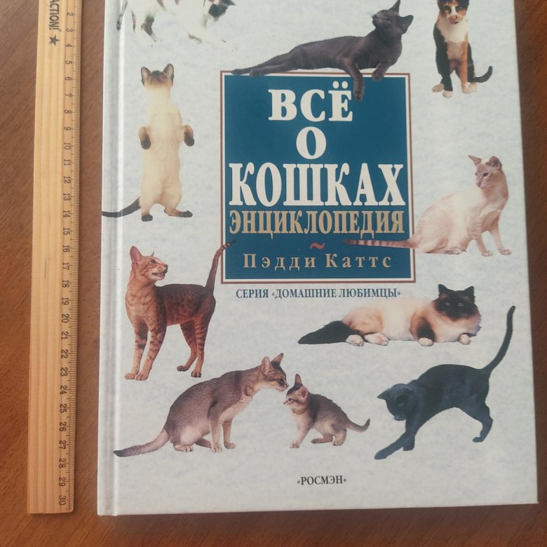 Хроники Странствующего Кота Купить Книгу