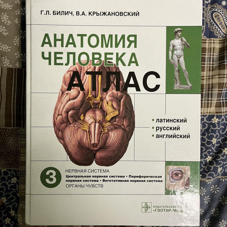 Атлас анатомии человека билич г л. Анатомический атлас Билич. Анатомия человека Билич. Анатомия человека г л Билич в а Крыжановский. Билич Крыжановский анатомия человека атлас.