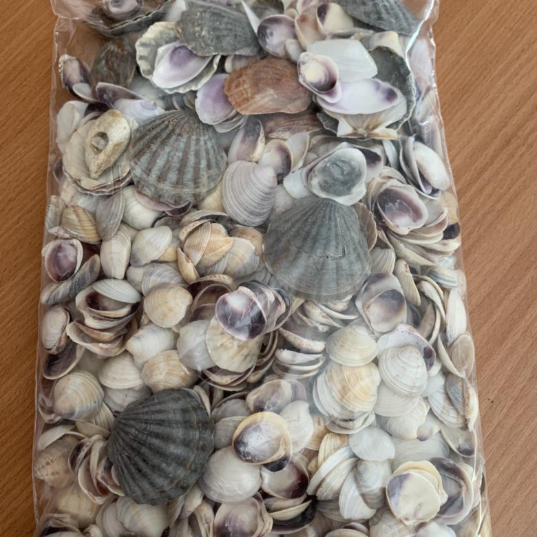 Морской коктейль из ракушек – купить в Красноярске, цена 500 руб., дата ...