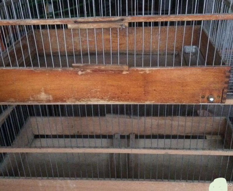 Клетки для канареек – купить в Ильинском, цена 1 200 руб., дата ...