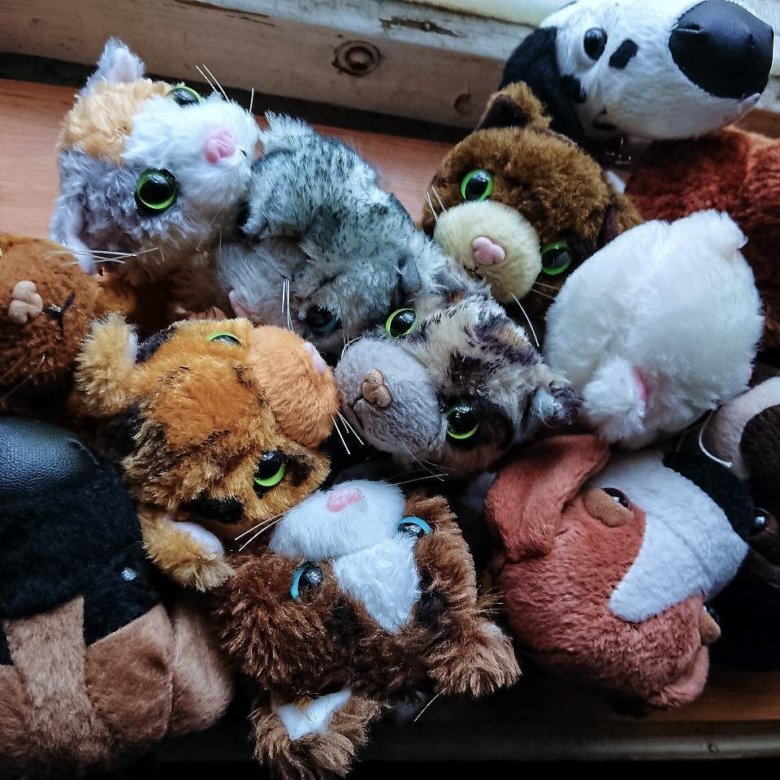 коллекция игрушек. киндер сюрприз игрушки. коллекция пуговиц. The dog collection игрушки. Collect toys.