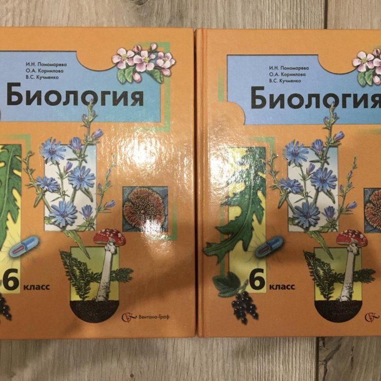 6 класс автор учебника пономарева. Учебник по биологии Пономарева. Биология 10 класс Пономарева. Биология 6 класс учебник Пономарева. Учебник по биологии 6 класс Пономарева.