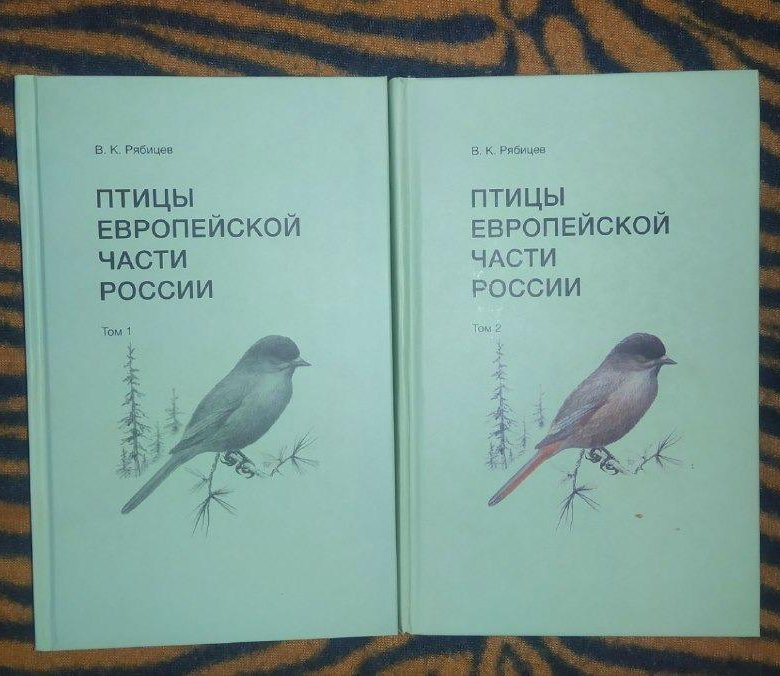 Книга Темные Птицы Дмитров Купить