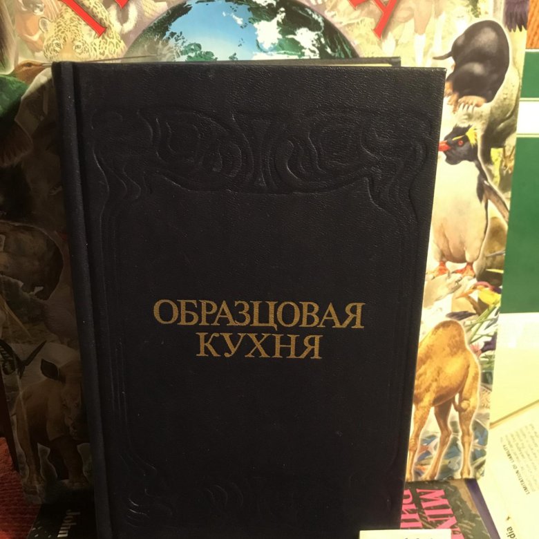 Образцовая кухня книга