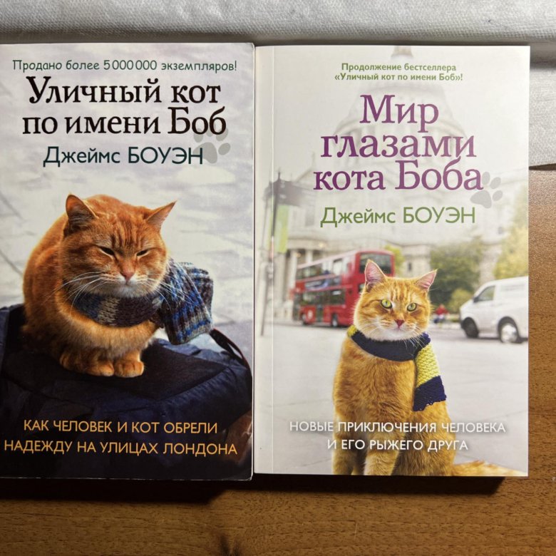 Уличный кот по имени боб книги все части. Уличный кот по имени боб книга. Кот по кличке боб книга. Кот боб и джеймс боуэн книга. Кот боб книги по порядку.