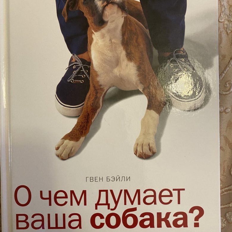 О чем думает ваша собака. Джон фишер думать как собака. Джон фишер книги. О чем думает ваша собака книга. О чем думает ваша собака джон.