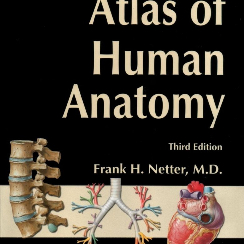 Атлас фрэнк. Неттер анатомия. Королюк Рентгеноанатомический атлас скелета.