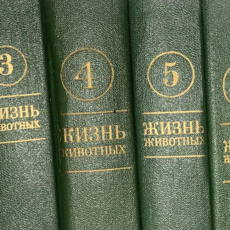 Москва 7 томов. Жизнь животных 6т в 7 книгах. Энциклопедия жизнь животных 1967г 6 томов. Собрание зверей книга. Собрание сочинений с. Михалкова.