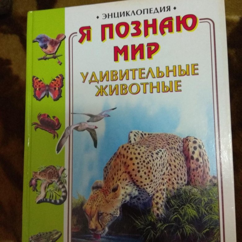 Удивительный мир энциклопедий. / удивительный мир животных. Удивительный предметный мир картинки. Мир энциклопедий. Мир насекомых книга.