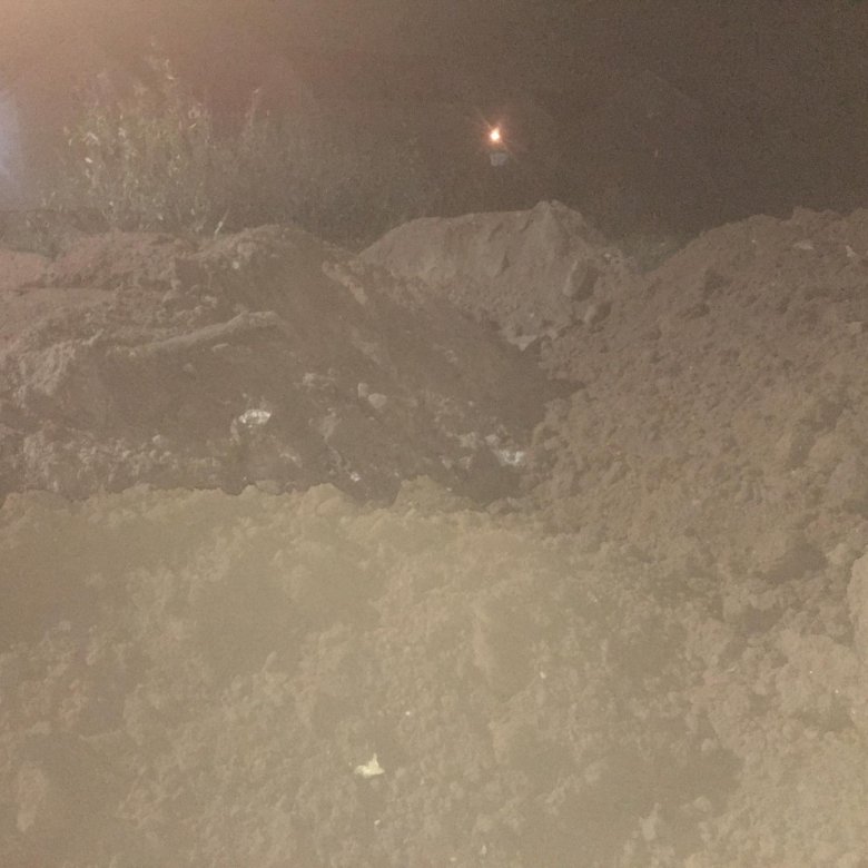 Земля – купить в Москве, бесплатно, дата размещения: 05.12.2022 – Сад и ...