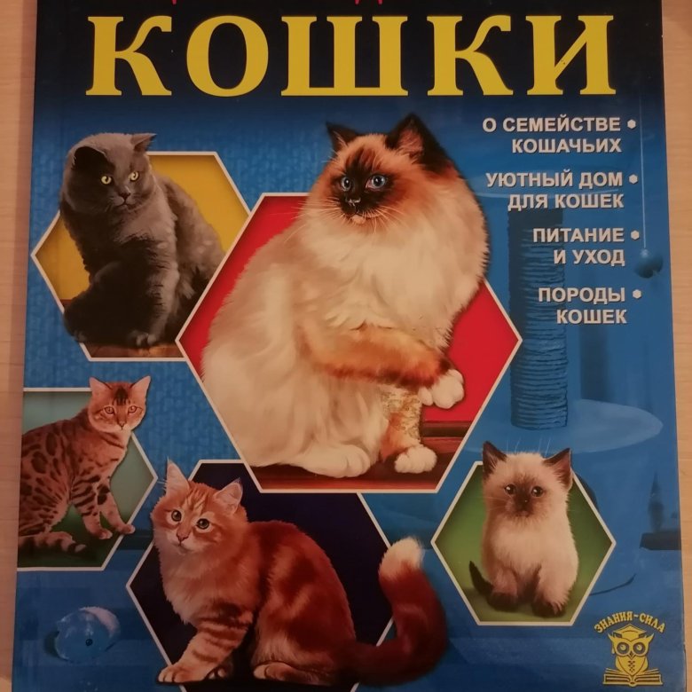 Энциклопедия кошек картинки