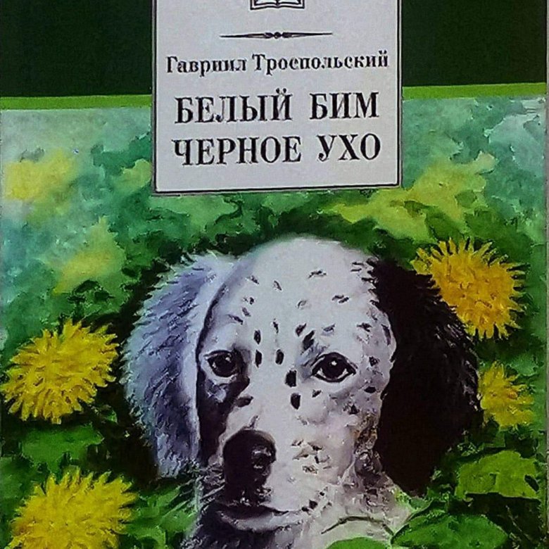 Книга в ухе чехова. Книга в ухе.