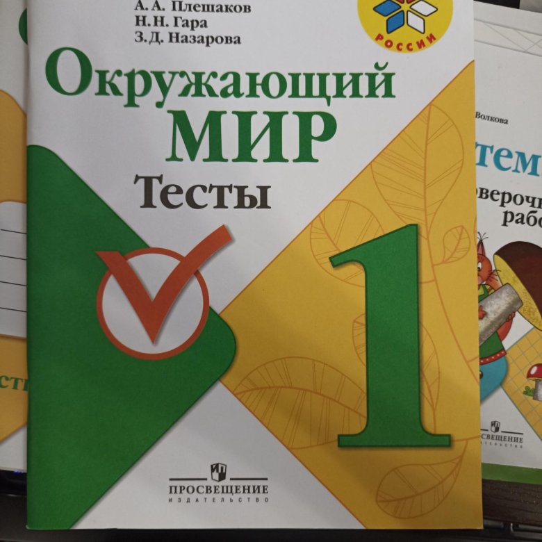 Работ плешаков. Плешаков тесты 1 класс 2011. Плешаков тесты 1 класс 2010.