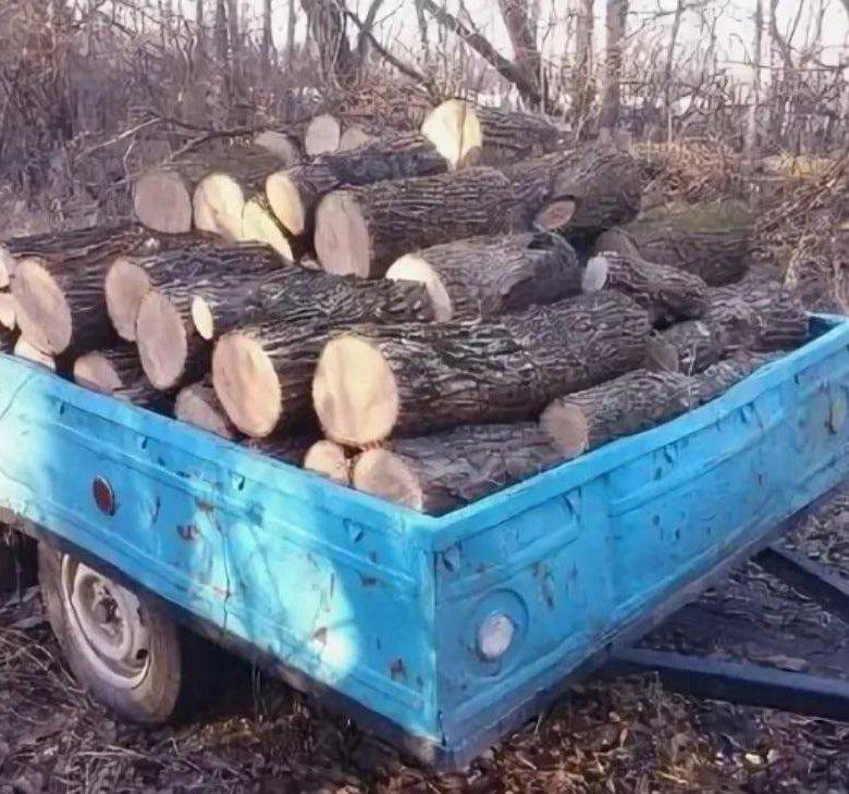 Сколько в прицепе кубов дров. Прицеп для дров. легковой прицеп с дровами. с прицепом за дровами. 3 прицепа дров.