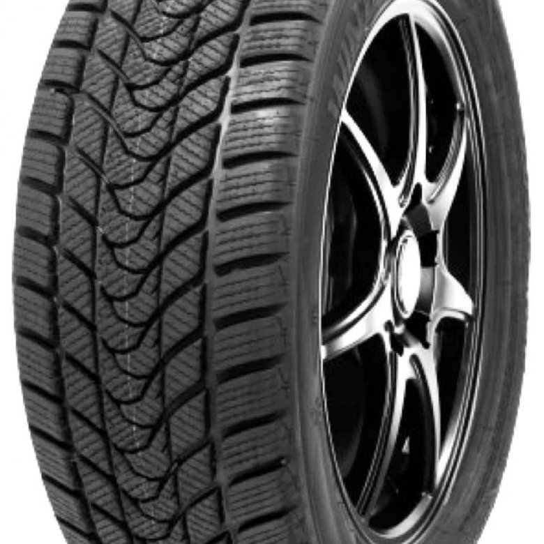 Winter wd1. Delinte Winter wd1 99h Delinte. 225/45 R18 Delinte Winter wd1 95h XL.