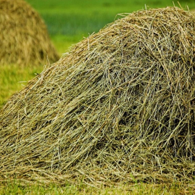 Сено ростовской области. Солома пшеничная тюк (10-12 кг). Сено. Трава сено. Стог сена.