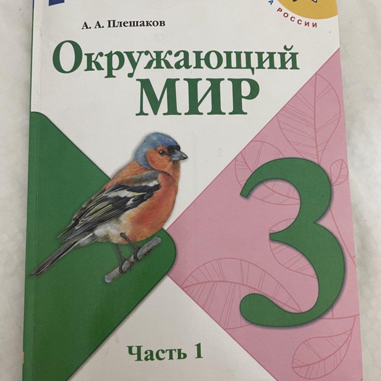 Окружающий мир ст 8 1 класс. Окружающий мир ст 8 1 класс. Окружающий мир ст 8 1 класс. Рабочая тетрадь по окружающему миру 1 класс плешаков перспектива. Ю.