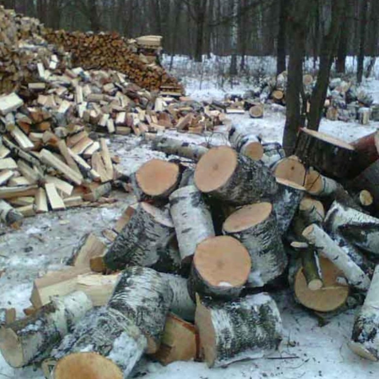 древесина для муниципальных нужд