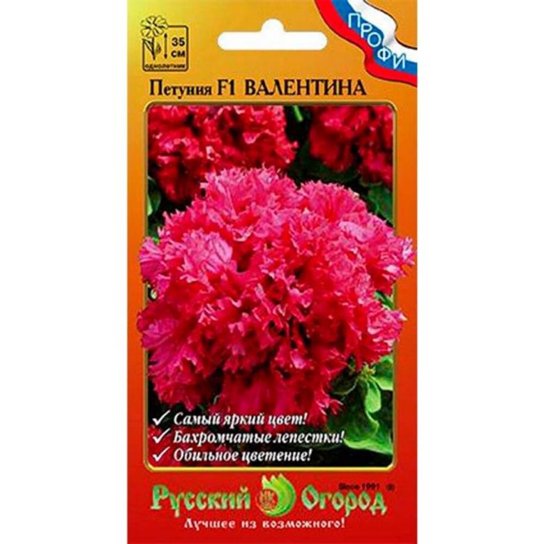 Семена цветов Петуния Валентина F1 783268 – купить в Москве, цена 74 ...