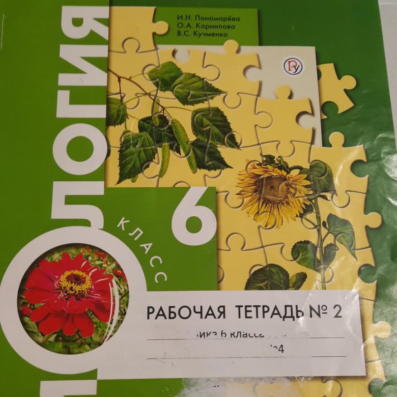 6 класс автор учебника пономарева. Биология 6 класс Солодова.