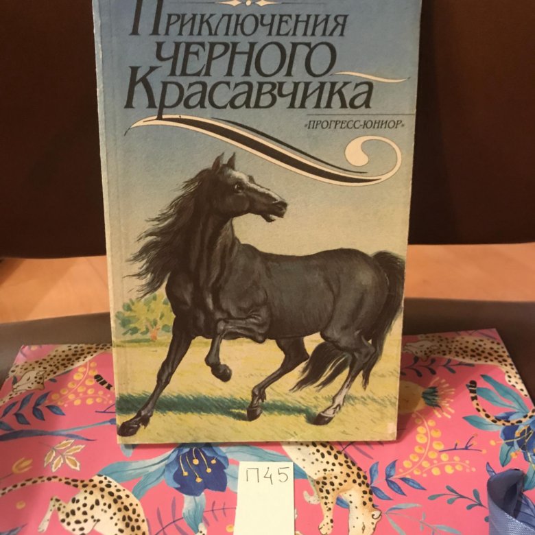 Приключения черного красавчика