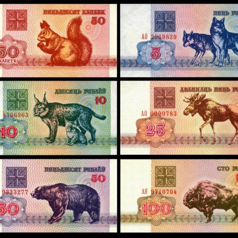 25 белорусских рублей. Беларусь 100 рублей 1992 UNC. Белорусский рубль Белочка. Рысь на белорусском рубле. Купюра 50р белорусских.