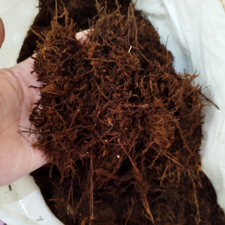 Триферн (Tree Fern) грунт для орхидей и не только – купить в ...