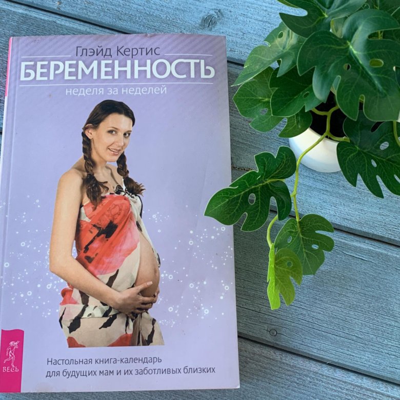 Книга книгу беременна от бывшего