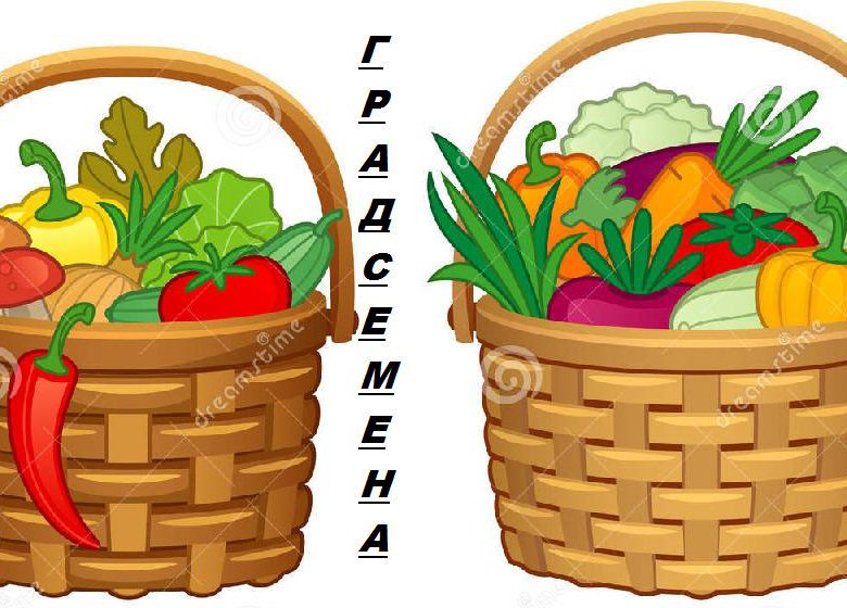 Корзина с овощами картинки для детей