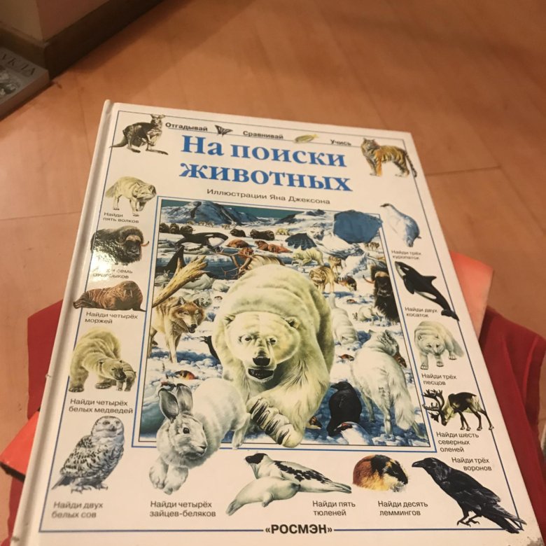 Фотографии Отзывы Животных