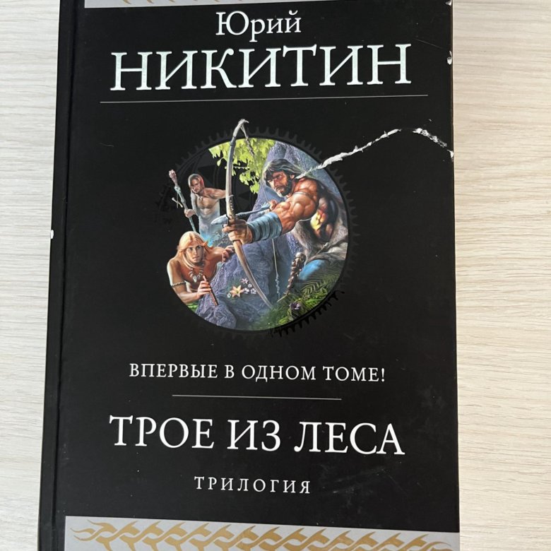 Книга читать полностью трое из лесу. Книги о трое. Книга Троя.