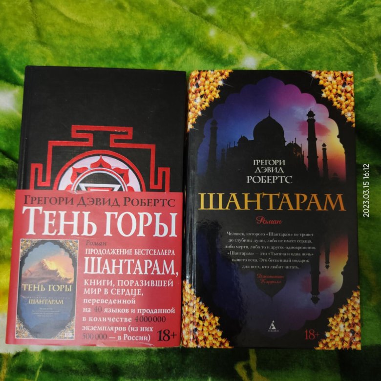 Тень Горы Книга Купить