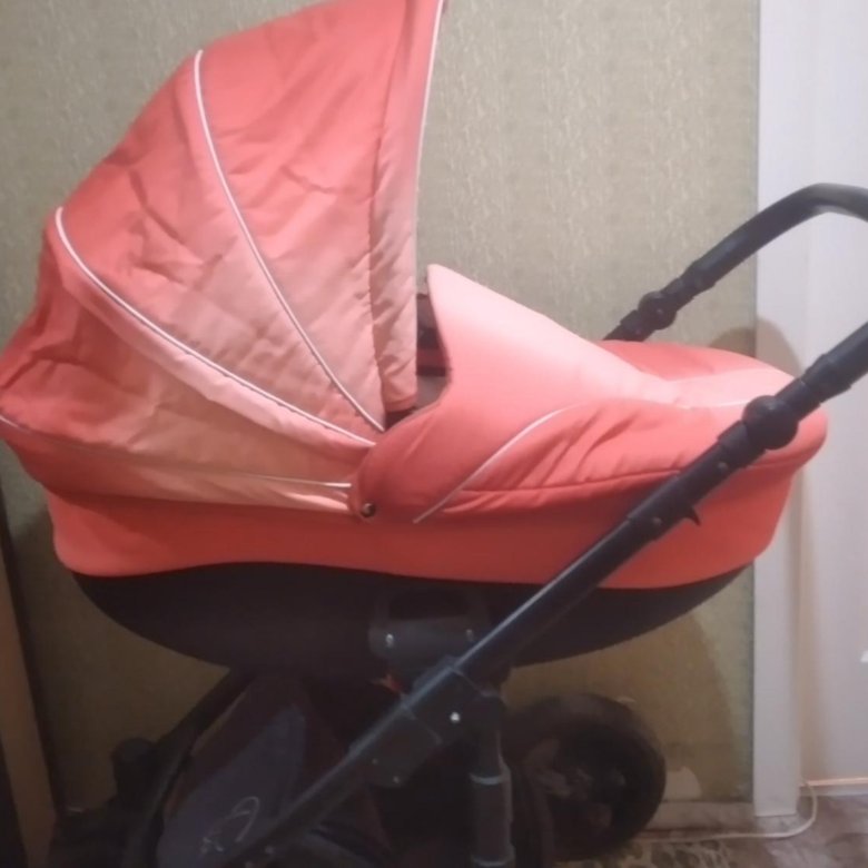 Zippy – купить в Красноярске, цена 5 000 руб., дата размещения: 19.07. ...