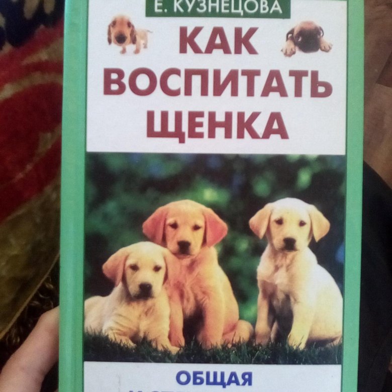 Как воспитывать щенка. Воспитание щенка книга. Книга о воспитании собак. Книга воспитай щенка. Книги о воспитании побак.