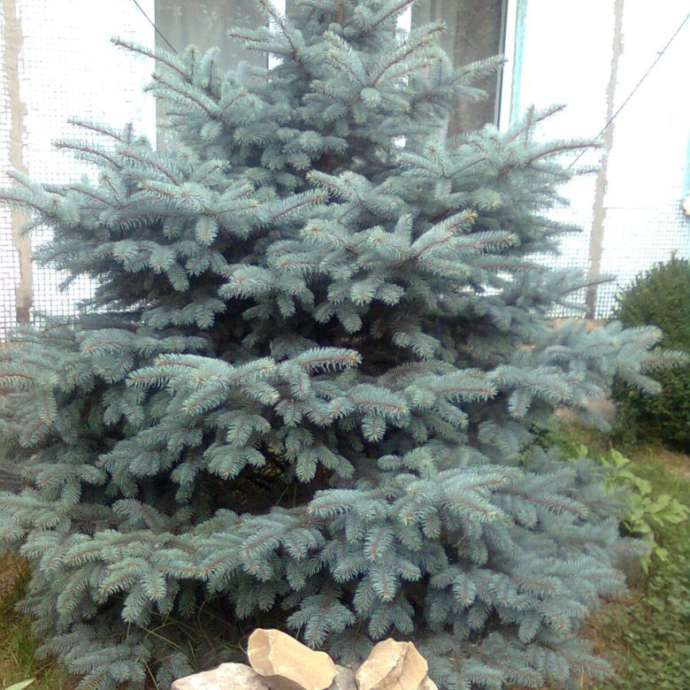 Дом, 84 м² – купить в Азове, цена 4 300 000 руб., истекает сегодня в 17 ...