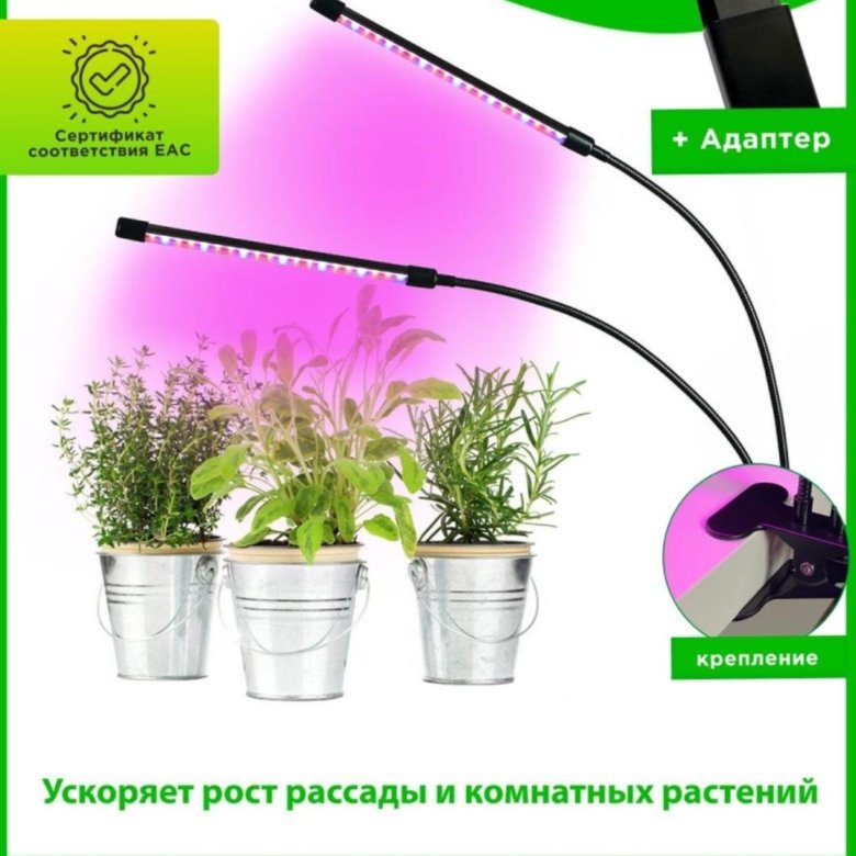 Фитолампы Для Растений Купить В Уфе Оптом