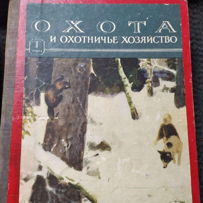 Подшивка журнала Охота и Охотничье хозяйство – купить в Ялте, цена 1 ...