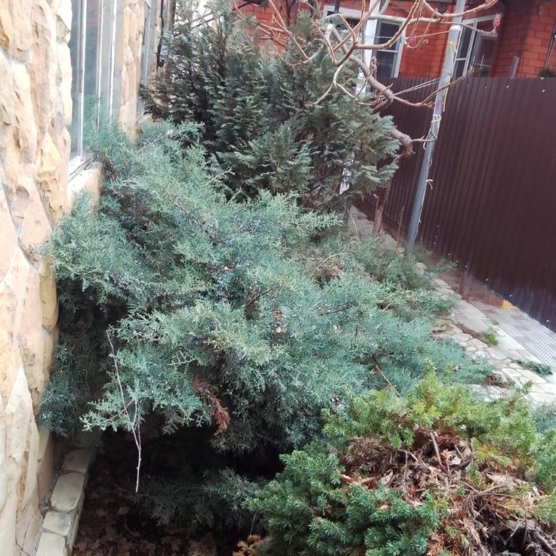 Лабинске металлический дом цена