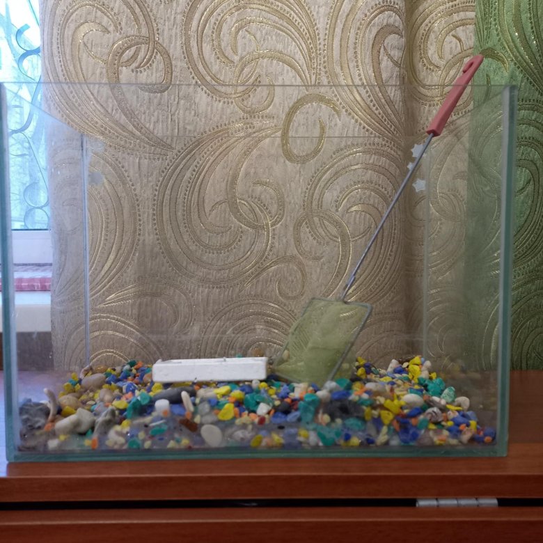 Аквариум маленький – купить в Самаре, цена 370 руб., дата размещения ...