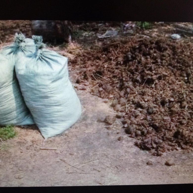 Навоз в мешках можно хранить. Навоз в мешках. Перегной в мешках. Чернозем в мешках и навоз. Конский перегной в мешках.