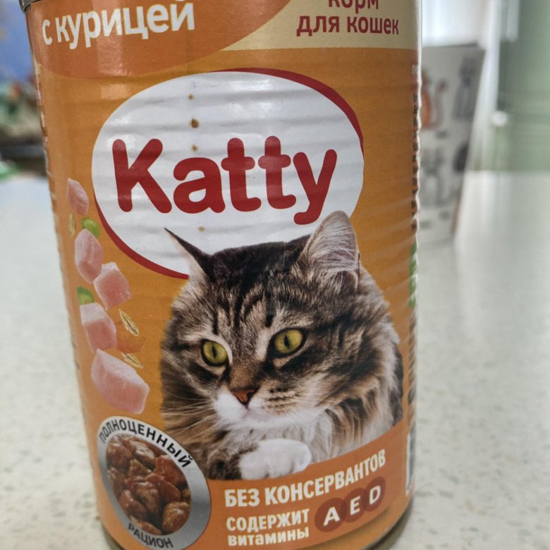 Влажный Корм Для Кошек Katty Купить