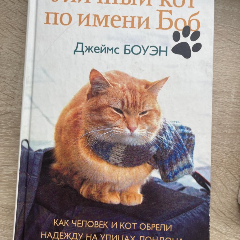 джеймс боуэн и бэлль. джеймс боуэн музыкант. кот по кличке боб 2. уличный кот по имени боб белль. рыжий кот по имени боб.