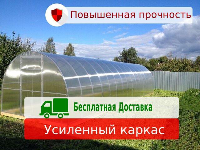 Теплицы из поликарбоната 8 метров усиленные – купить в Пешково, цена 29 ...