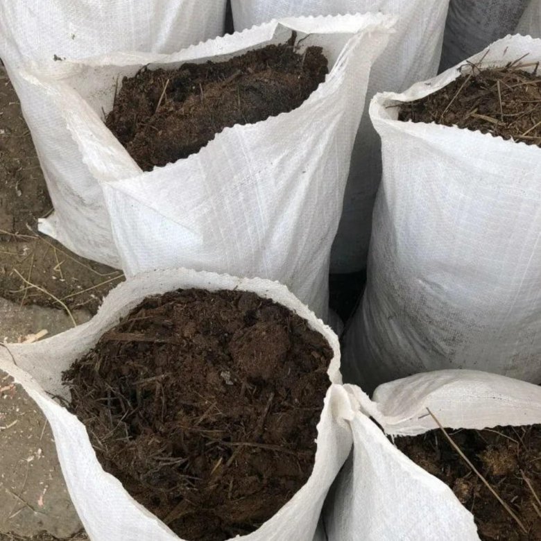 Навоз в мешках. Навоз в мешках. Лошадь с мешком для навоза. Цветы и конский навоз. Перегной для огорода.