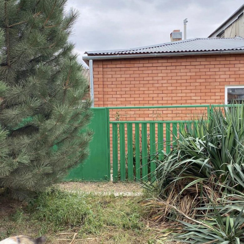 Металлические дома в Армавире недорого