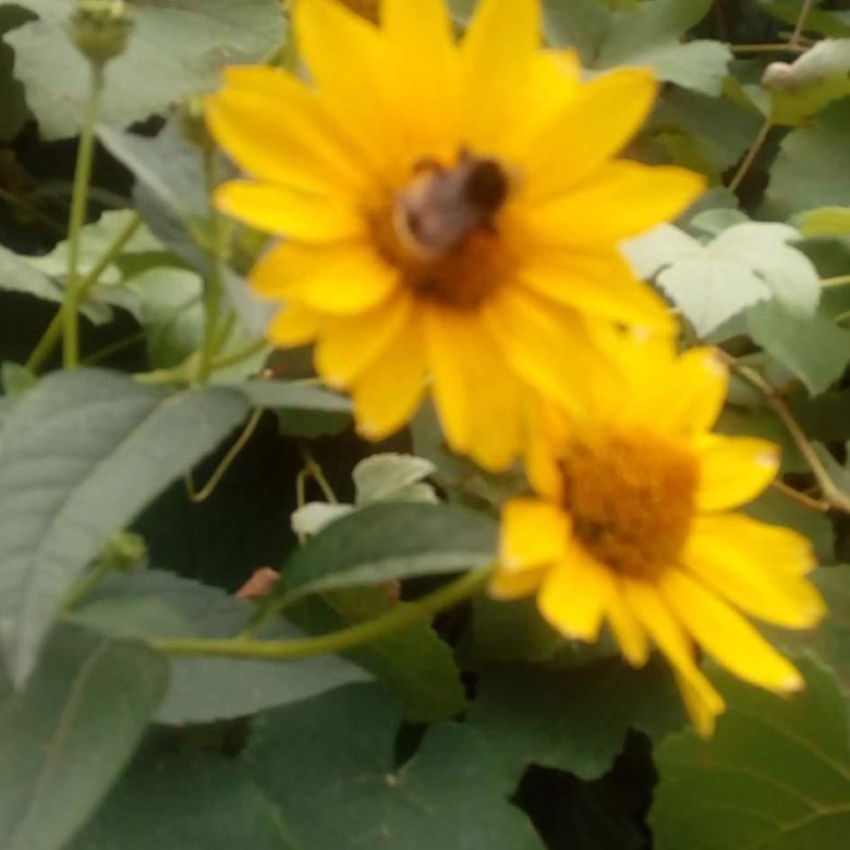 Участок, 6 сот., сельхоз (снт или днп) – купить в Волжском, цена 600 ...