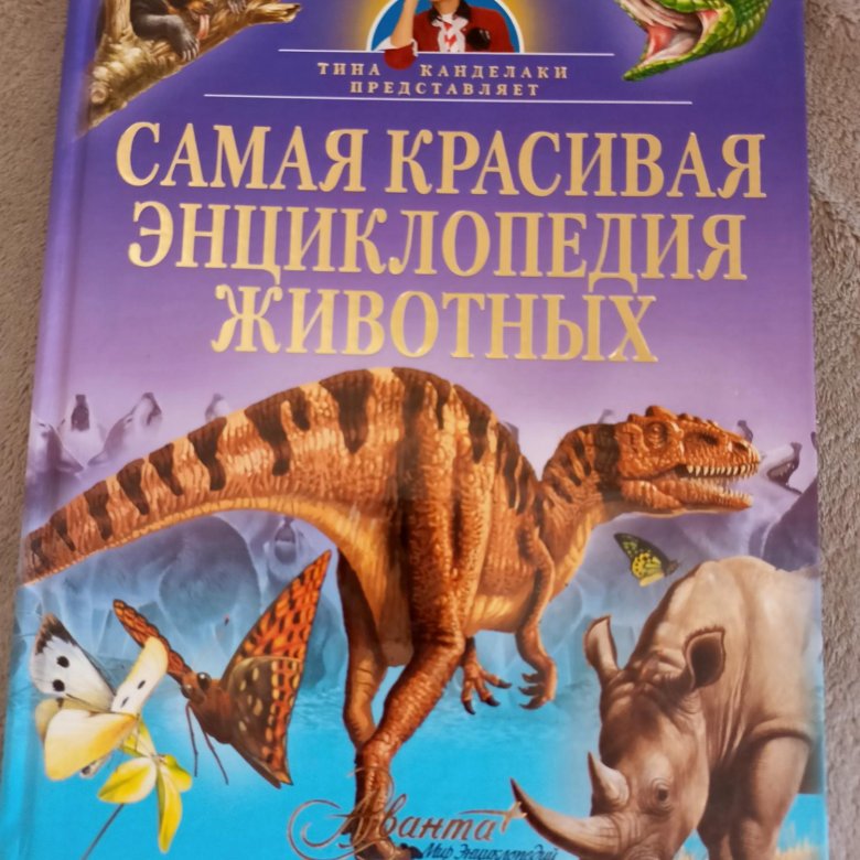 Книга самые самые животные. Самая красивая энциклопедия животных. Самые красивые энциклопедии. Детская энциплопедияживотные Аванта. Детская энциклопедия животных.